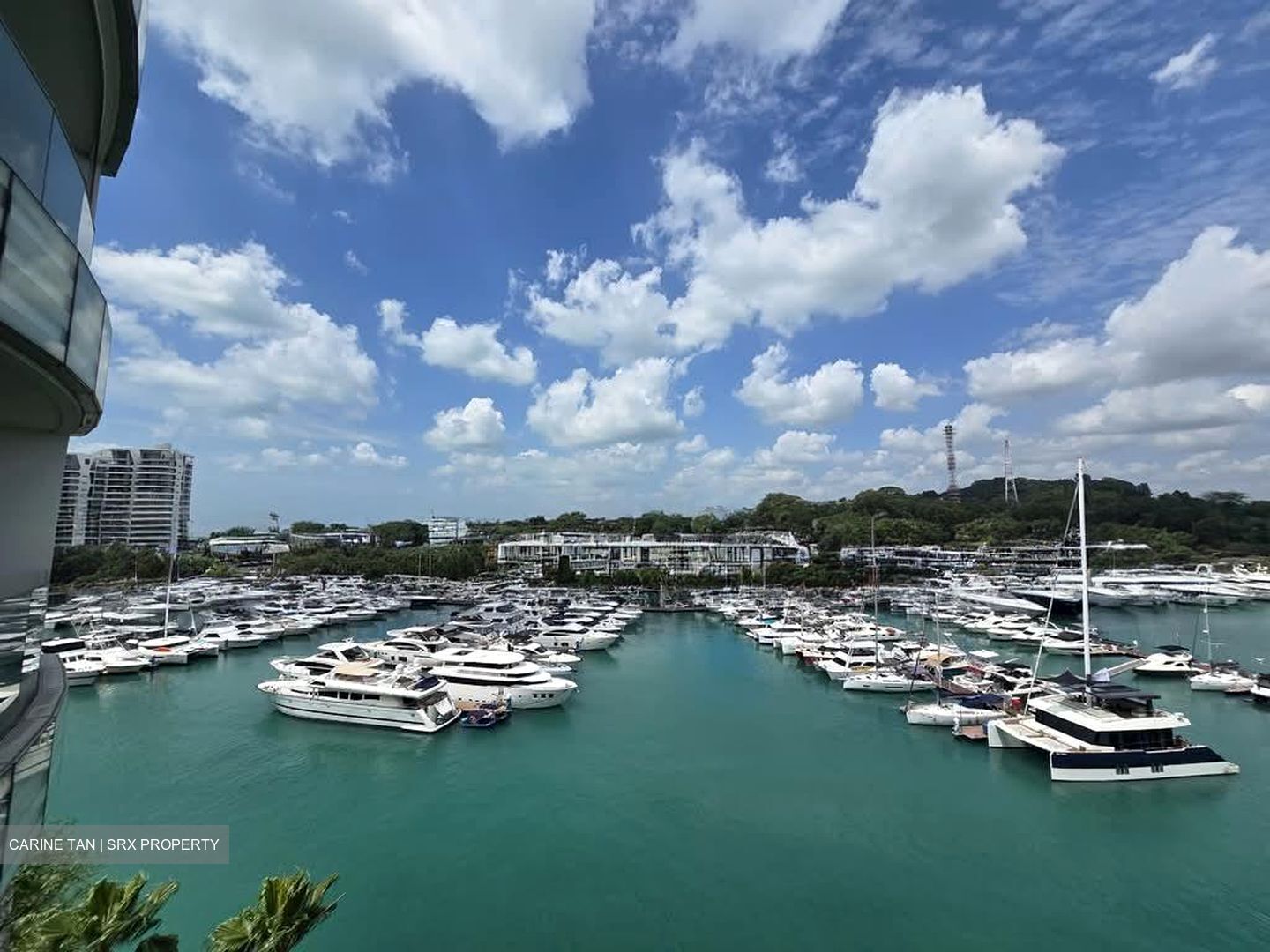 The Oceanfront @ Sentosa Cove (D4), Condominium #541853811